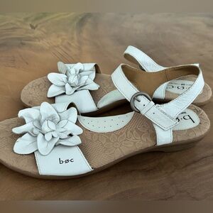 Born women’s Sandel’s